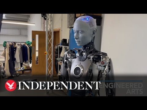 Robots say they won't steal jobs, rebel against humans